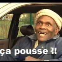 Avatar de l’utilisateur