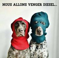 Avatar de l’utilisateur