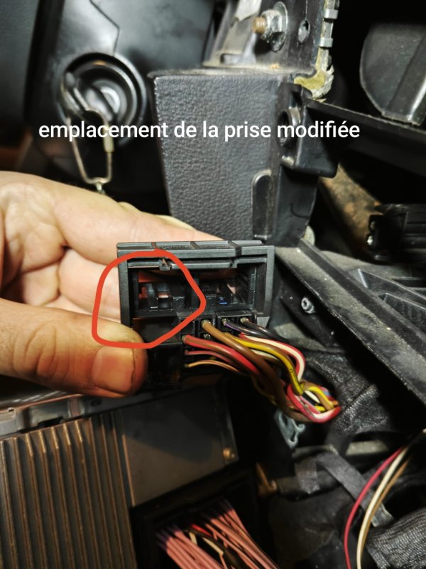 3deaca4d-7e78-4e7f-99fb-a06ec3364f32.jpeg.jpg