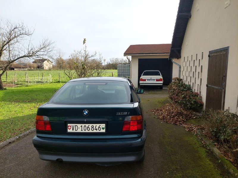 20241124_110410.jpg