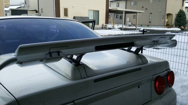 Skyline-WingRobo.jpg