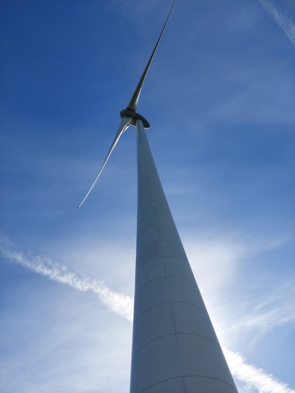 20250524_094202.jpg