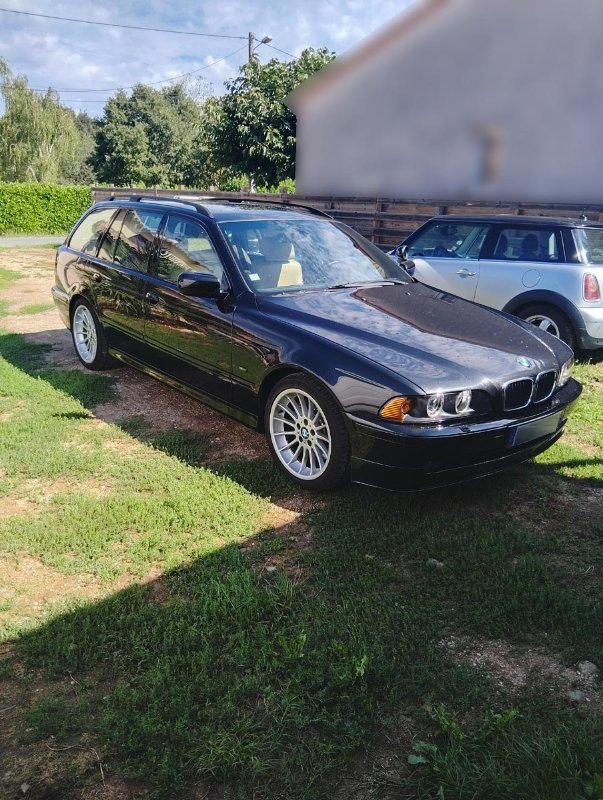 avant310825.jpg