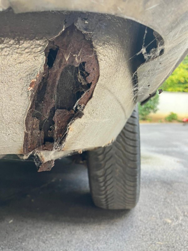 WhatsApp Image 2025-10-12 at 15.22.54 (1).jpeg