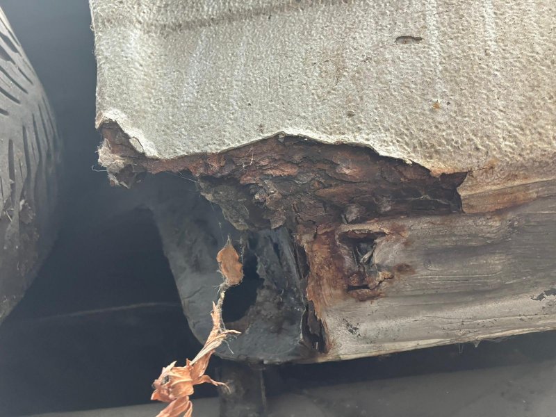 WhatsApp Image 2025-10-12 at 15.22.54.jpeg