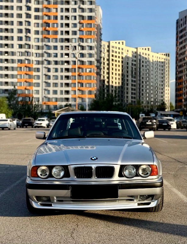 IMG_9460.jpeg