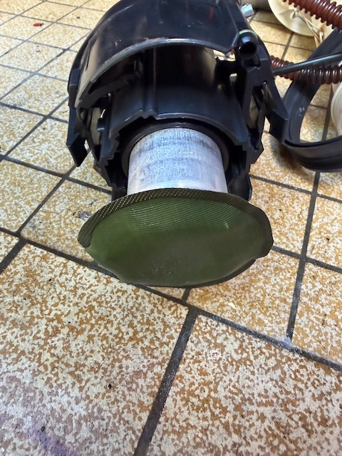IMG_5748.jpeg