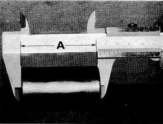 3341151a.JPG