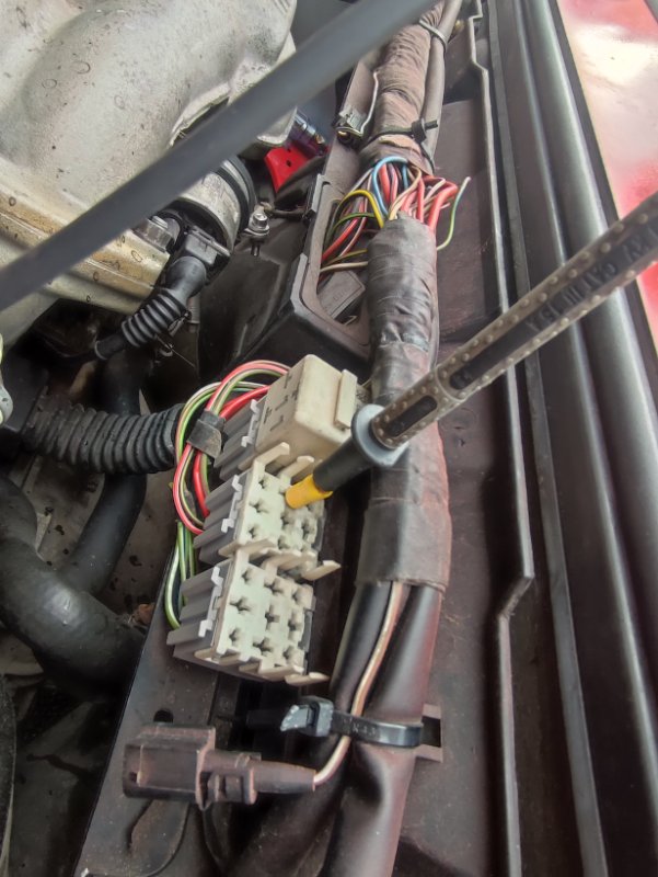 1 IMG_20220817_185855 1.jpg