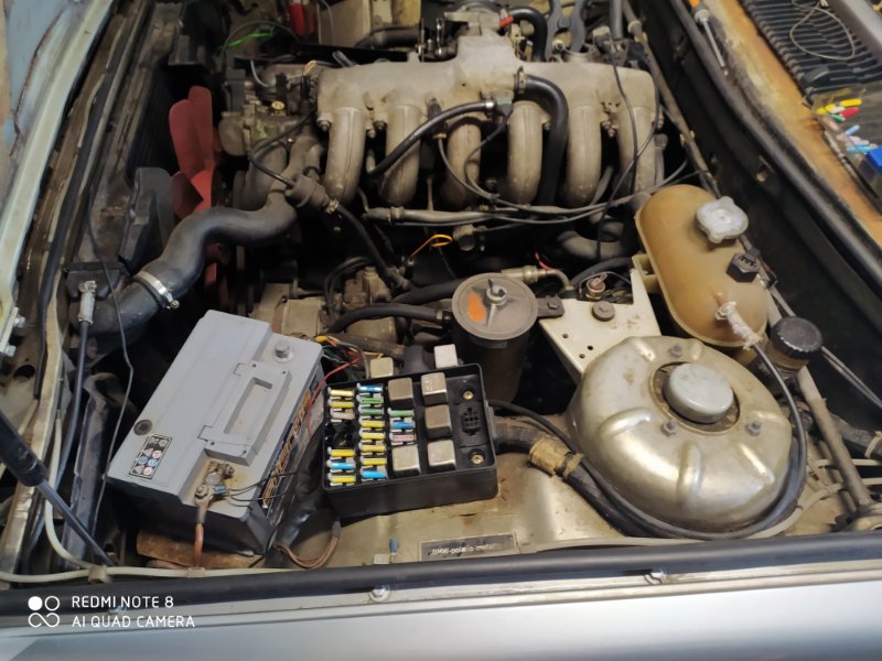 IMG_20210624_123423[1].jpg