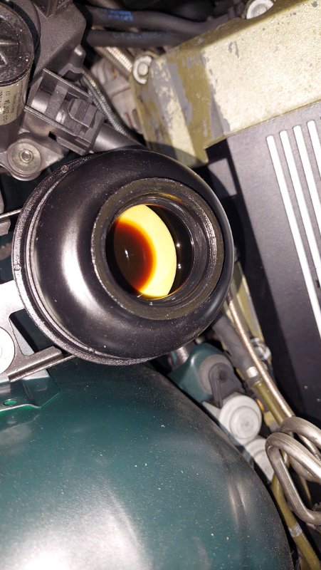 20231110_102641.jpg