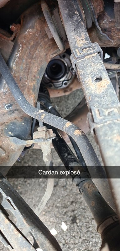 Snapchat-842412645.jpg