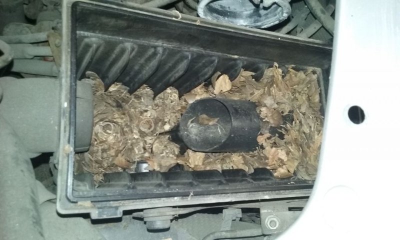 moteur_.jpg